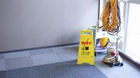 Carpet Cleaning Pros image 21